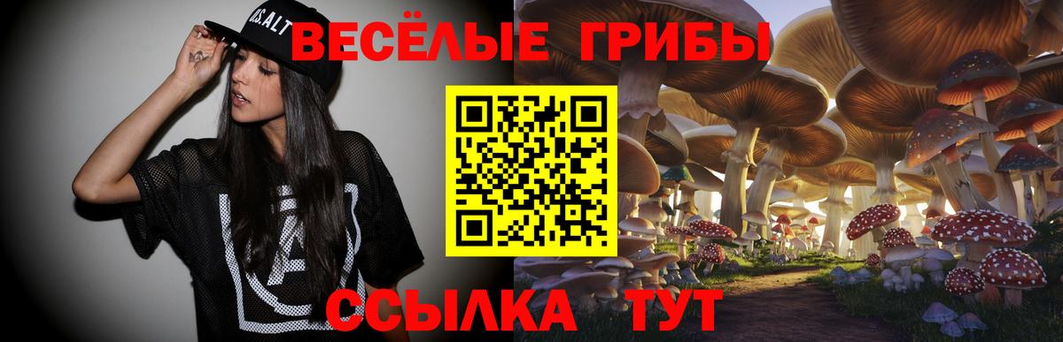 Галлюциногенные грибы мицелий  Вход с VPN  Звенигород  Псилоцибиновые грибы мицелий 